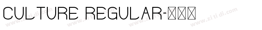 Culture Regular字体转换